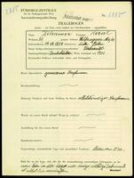 Applicant: Zitsamer, Hernl; born 14.12.1879 in Liska (Poland); married.