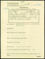 Applicant: Schaffner, Johanna; born 23.12.1868 in Mako (Hungary); widowed.