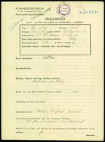 Applicant: Langberg, Saul; born 11.11.1887 in Budzanov (Ukraine); single.