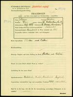 Applicant: Solomon, Avram; born 23.10.1897 in Lespezi (Romania); married.