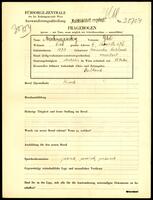 Applicant: Mischnajewsky, Gitel; born 1873 in Chernivt︠s︡i (Ukraine); widowed.