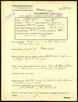 Applicant: Lougor, Julius; born 10.4.1877 in Piešťany (Slovakia); married.