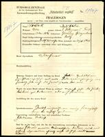 Applicant: Pollok, Julie; born 27.5.1896 in Güssing (Austria); single.