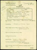 Applicant: Deutsch, Julie; born 12.7.1893 in Nitra (Slovakia); single.