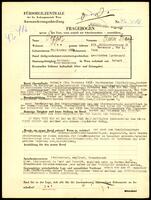 Applicant: Popper, Erwin Franz; born 29.10.1885 in Vienna (Austria); divorced.