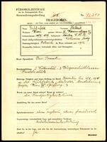 Applicant: Schönfeld, Helene; born 23.12.1899 in Nitra (Slovakia); single, engaged.