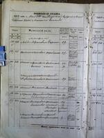 Ревизские сказки 1858 г. евреев Зинькова (Летичевского уеда) - лл. 502v-628.