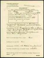 Applicant: Mayer, Oskar; born 15.3.1883 in Zemun (Serbia); married.