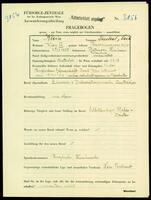 Applicant: Klein, Jankel; born 25.1.1885 in Paltinosa (Rumania); married.