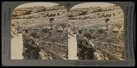 (12) - 3095 - Tombs of the Prophets, in the King's Dale, Valley of Kedron, Jerusalem, Palestine.