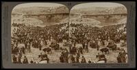 (13) - 3092 - Cattle market day in the Lower Pool of Gihon, Valley of Hinnom, Jerusalem (Isaiah xxii: 9).
