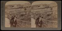 (16) - 3095 - Tombs of the Prophets, in the King's Dale, Valley of Kedron, Jerusalem, Palestine.
