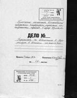 По обвинению в политической неблагонадёжности и шпионаже в пользу Австрии Хайма Берковича Берфельда, жителя Измаила; с агентурными сведениями о нем и лицах, причастных к делу.