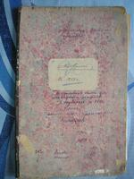 Метрическая книга регистрации родившихся в м. Людвиполь за 1881 г.