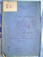 Метрическая книга регистрации умерших в Степани за 1879 г.
