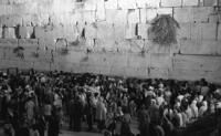 ירושלים: תשעה באב בכותל.