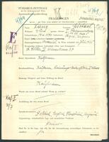 Applicant: Lang, Michael; born 17.4.1870 in Szeged (Hungary); married.