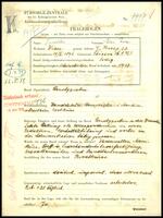 Applicant: Tischler, Elise; born 19.10.1896 in Stupava (Slovakia); single.