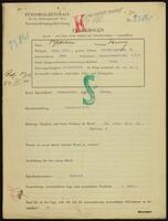 Applicant: Brosan, Fenny; born 1886 in Velké Meziříčí (Czech Republic); single.