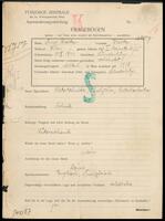 Applicant: Fried, Salomon; born 16.8.1873 in Tucho, č.S.R.; married.