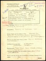 Applicant: Sonnenschein, Juer; born 29.12.1893 in Ottyniowice (Ukraine); married.