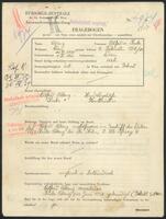 Applicant: Abzug, Alfred; born 10.10.1910 in Vienna (Austria); married.