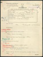 Applicant: Fein, Ernst; born 27.9.1898 in Boskovice (Czech Republic); married.
