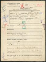 Applicant: Pick, Karl; born 3.12.1883 in Dvůr Králové (Czech Republic); married.