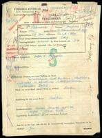 Applicant: Salzmann, Ernesta; born [no date] in [no location indicated]; no status registered.