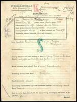 Applicant: Kornmehl, Flora; born 9.11.1872 in Miroslav (Czech Republic); widowed.