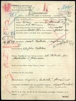 Applicant: Pollak, Josef; born 8.10.1901 in Odesa (Ukraine); married.