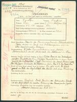 Applicant: Epstein, Siegfried; born 28.9.1900 in Vienna (Austria); married.