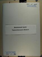 Pozew Meni Brünstein zam. Zuckerman (właścicielka realnosci) i Itty Brünstein w m. Trembowla przeciw Mojżeszowi Herschowi Gelmanowi (kupiec) w m-ku Suchostaw o uznanie umowy kupna-sprzedaży części realności w Suchostawie za nieważną.