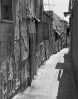 ירושלים: שכונת הכורדים (פחונים).
