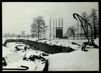 Photographs from Auschwitz-Birkenau.
