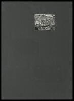 Portfolio (Mostly Photographs).