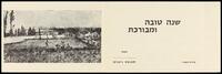 שנה טובה ומבורכת - ניצנים.