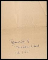 Typescript "The Western Wall" I.