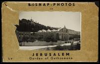 10 snap photos of Jerusalem, Garden of Gethsemane.