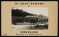 Jerusalem, Garden of Gethsemane.