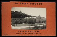 Jerusalem, Garden of Gethsemane.