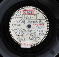 אורות במדבר