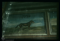 Photograph of: Great Synagogue in Gura Humorului - Prayer hall - Wall decoration - Tribes of Israel : Symbols of the tribes.