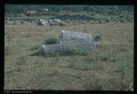 Photograph of: Double Jewish tomb in Doclea : View.
