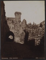 Tour Antonia
