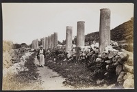 The Colonnade, Samaria