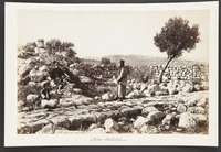 Cana of Galilee