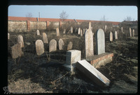 Photograph of: Jewish cemetery in Kanjiža : Tombstones.