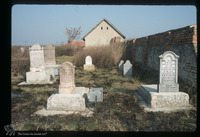 Photograph of: Jewish cemetery in Kanjiža : Tombstones.