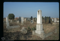 Photograph of: Jewish cemetery in Kanjiža : Tombstones.